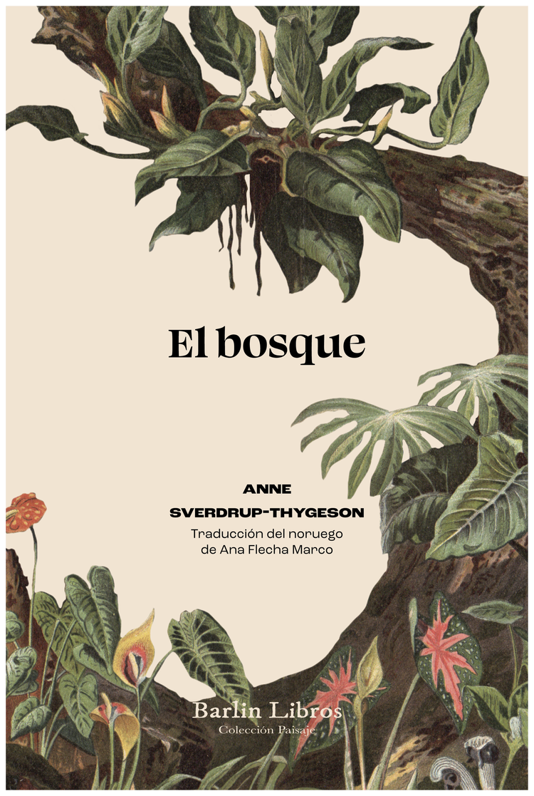 EL BOSQUE de árboles, personas y veinticinco mil especies extraordinarias