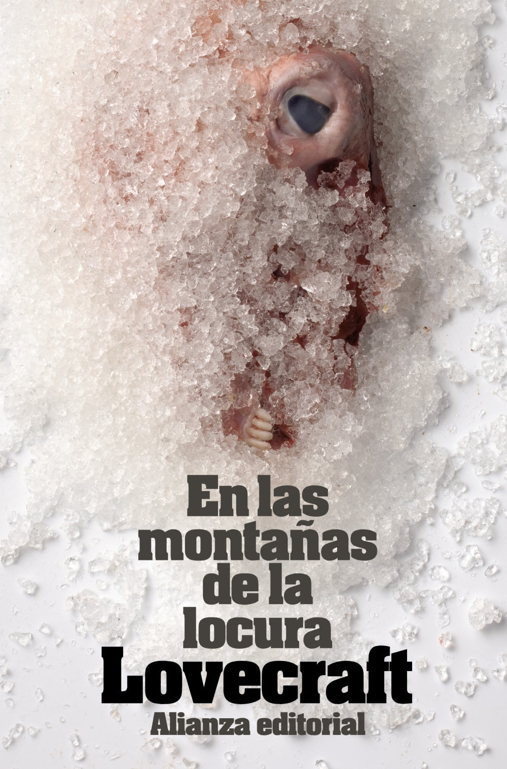 EN LAS MONTAÑAS DE LA LOCURA y otros relatos
