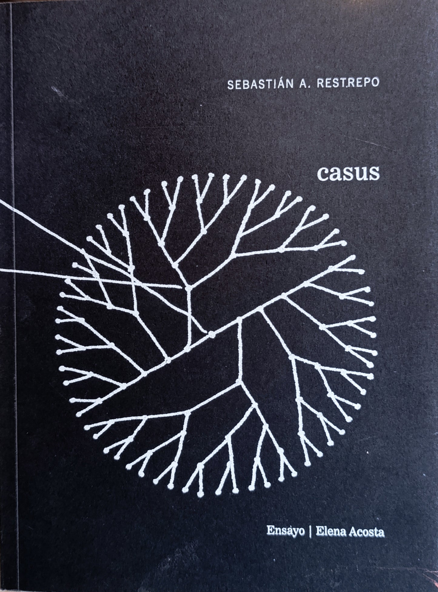 CASUS