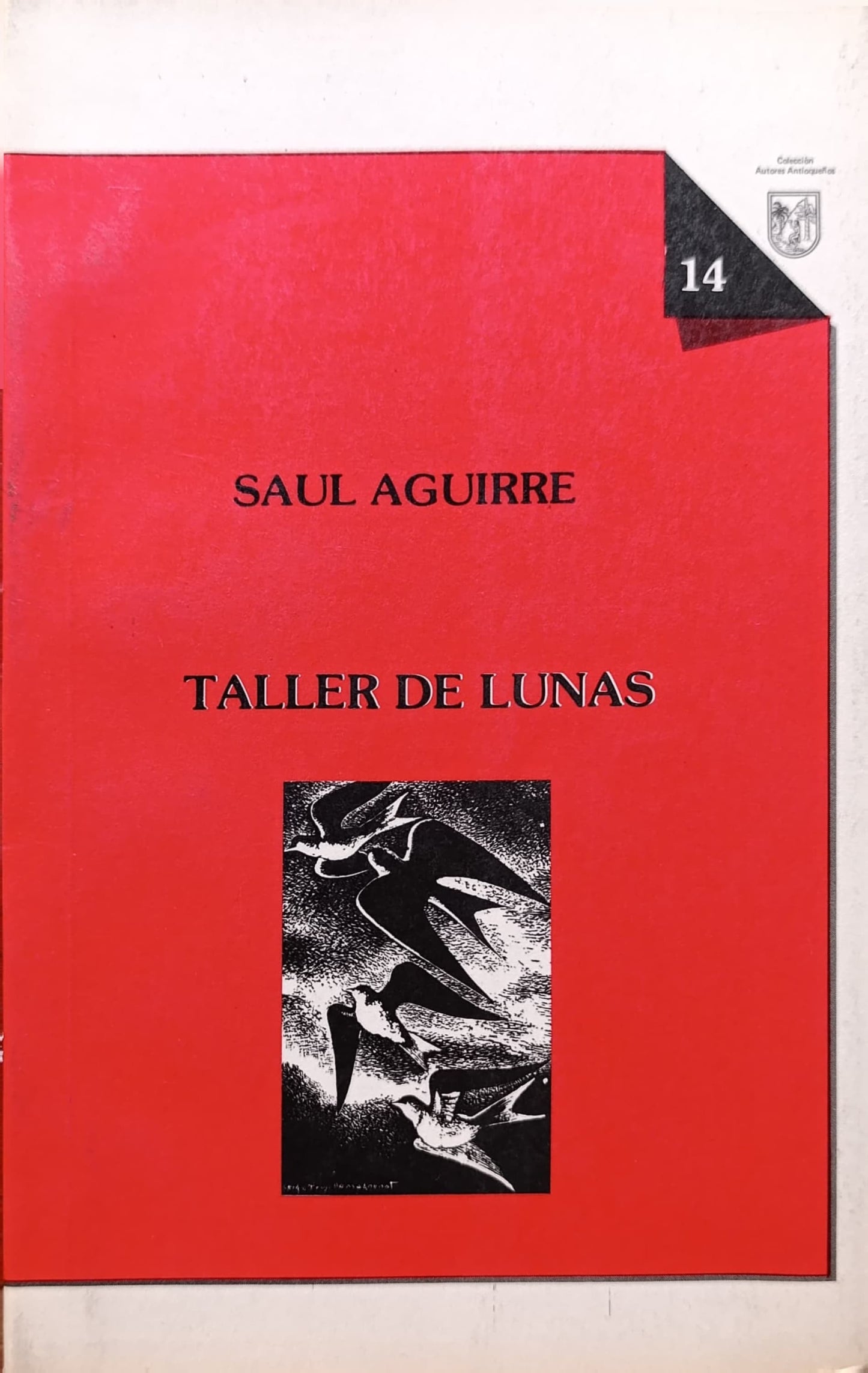 TALLER DE LUNAS