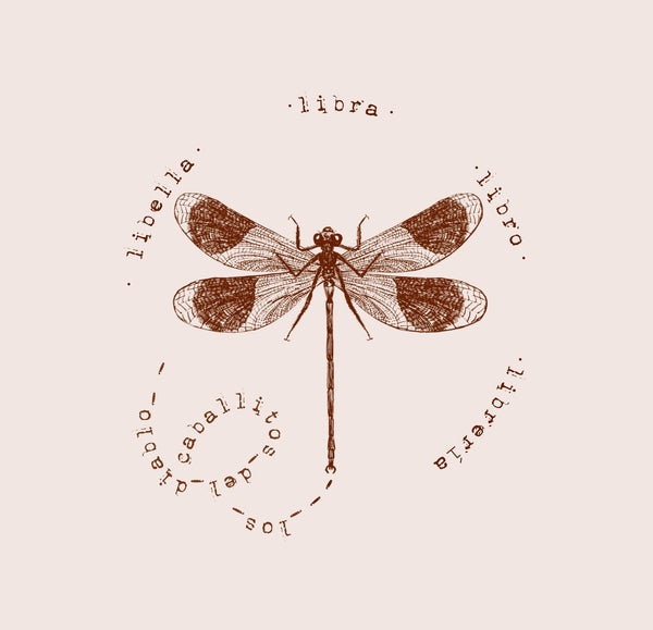 Los caballitos del diablo