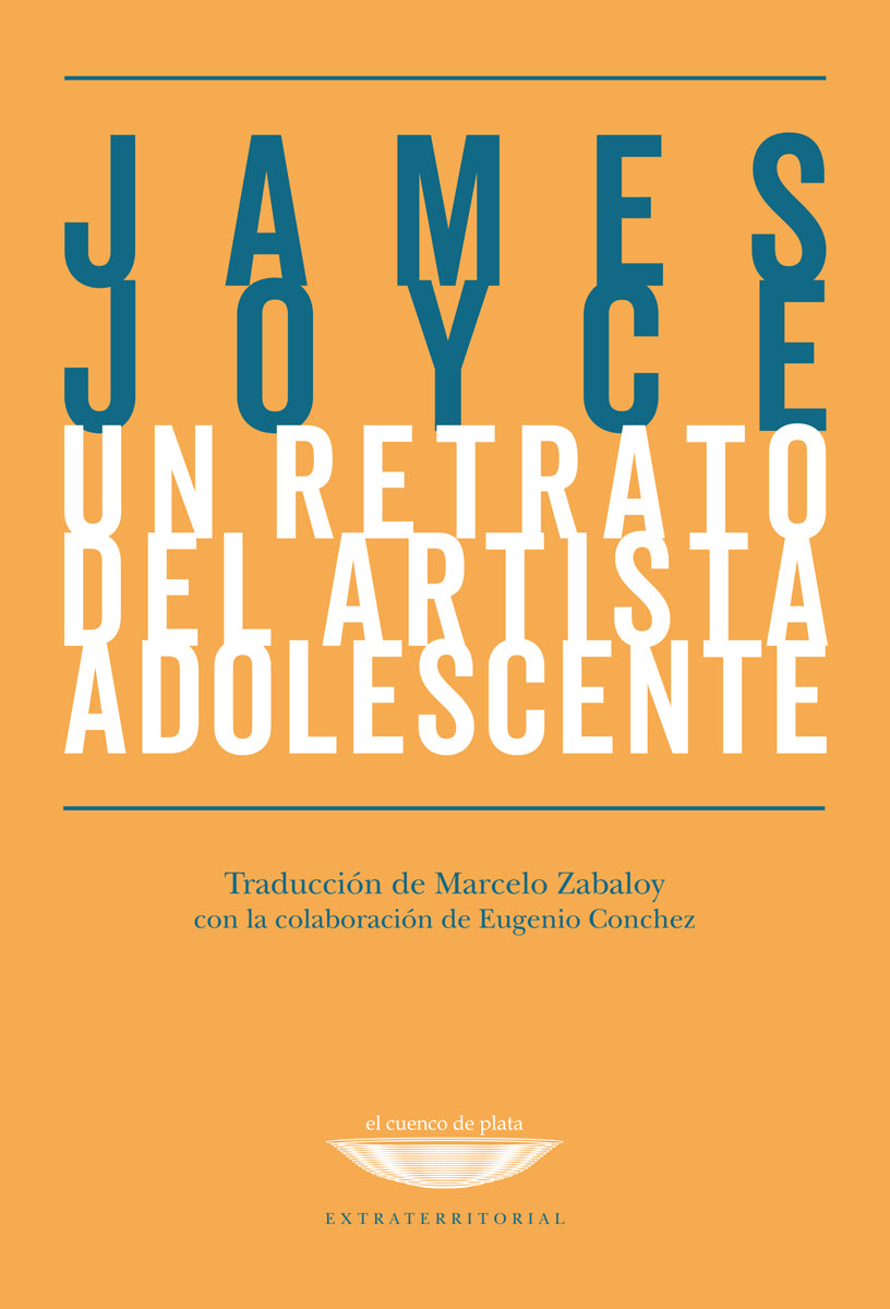 UN RETRATO DE UN ARTISTA ADOLESCENTE