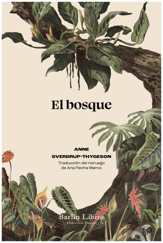 EL BOSQUE de árboles, personas y veinticinco mil especies extraordinarias