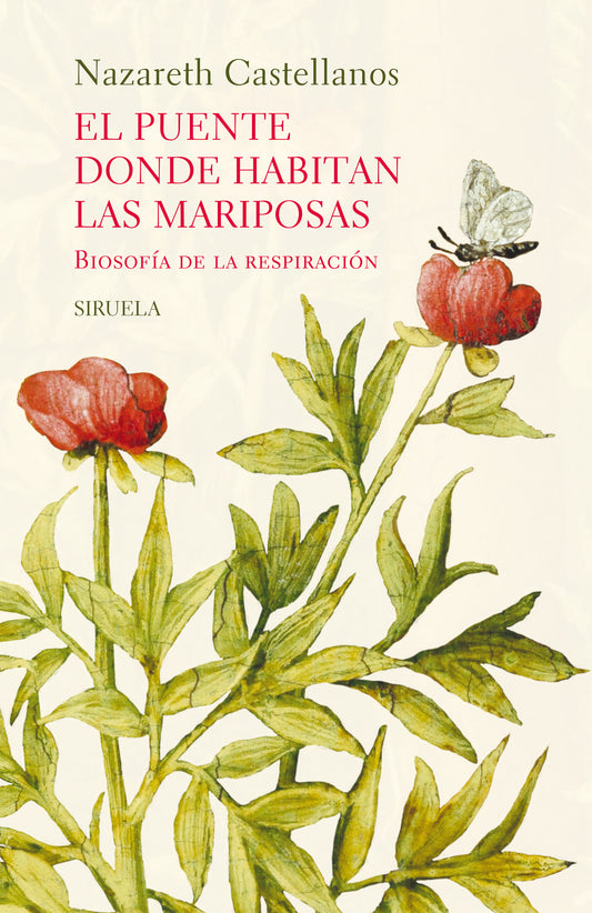 EL PUENTE DONDE HABITAN LAS MARIPOSAS biosofía de la respiración