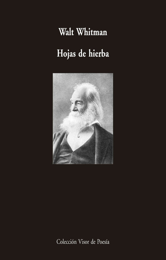 HOJAS DE HIERBA