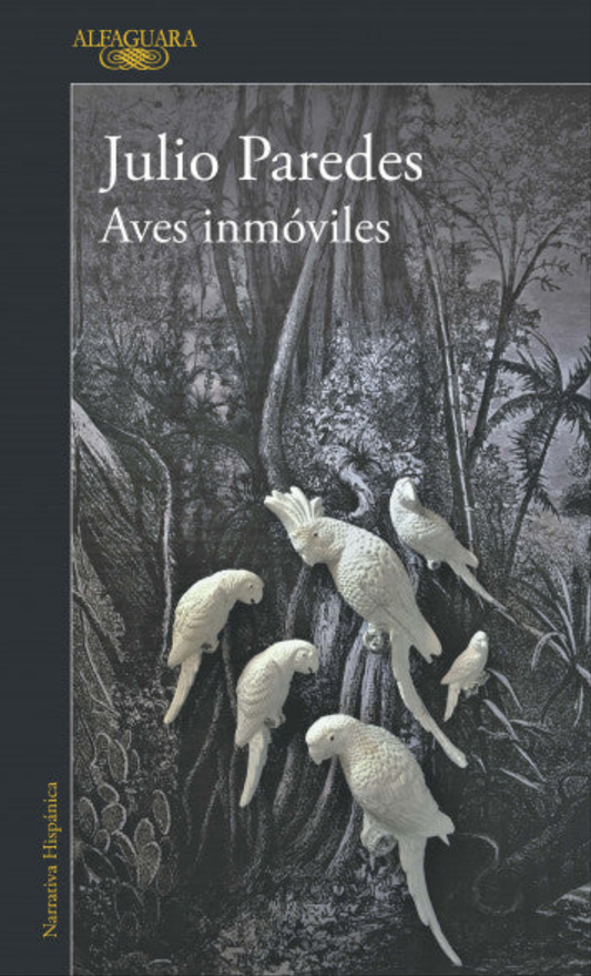 AVES INMOVILES