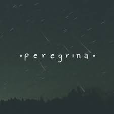Ansibles, perfiladores y otras máquinas de ingenio