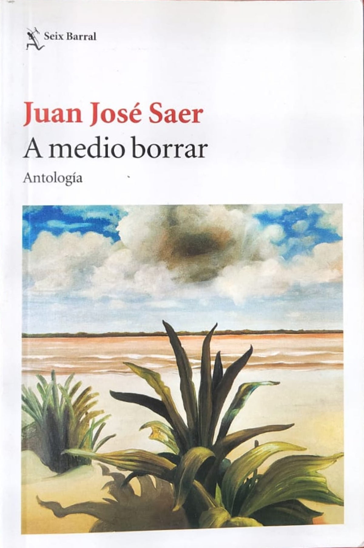 A MEDIO BORRAR antología