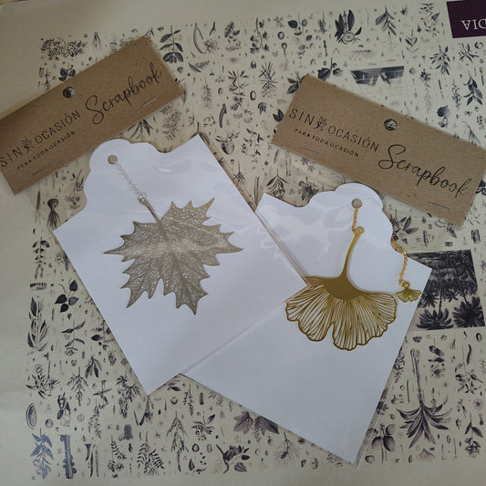 SEPARADOR METÁLICO CON CADENA