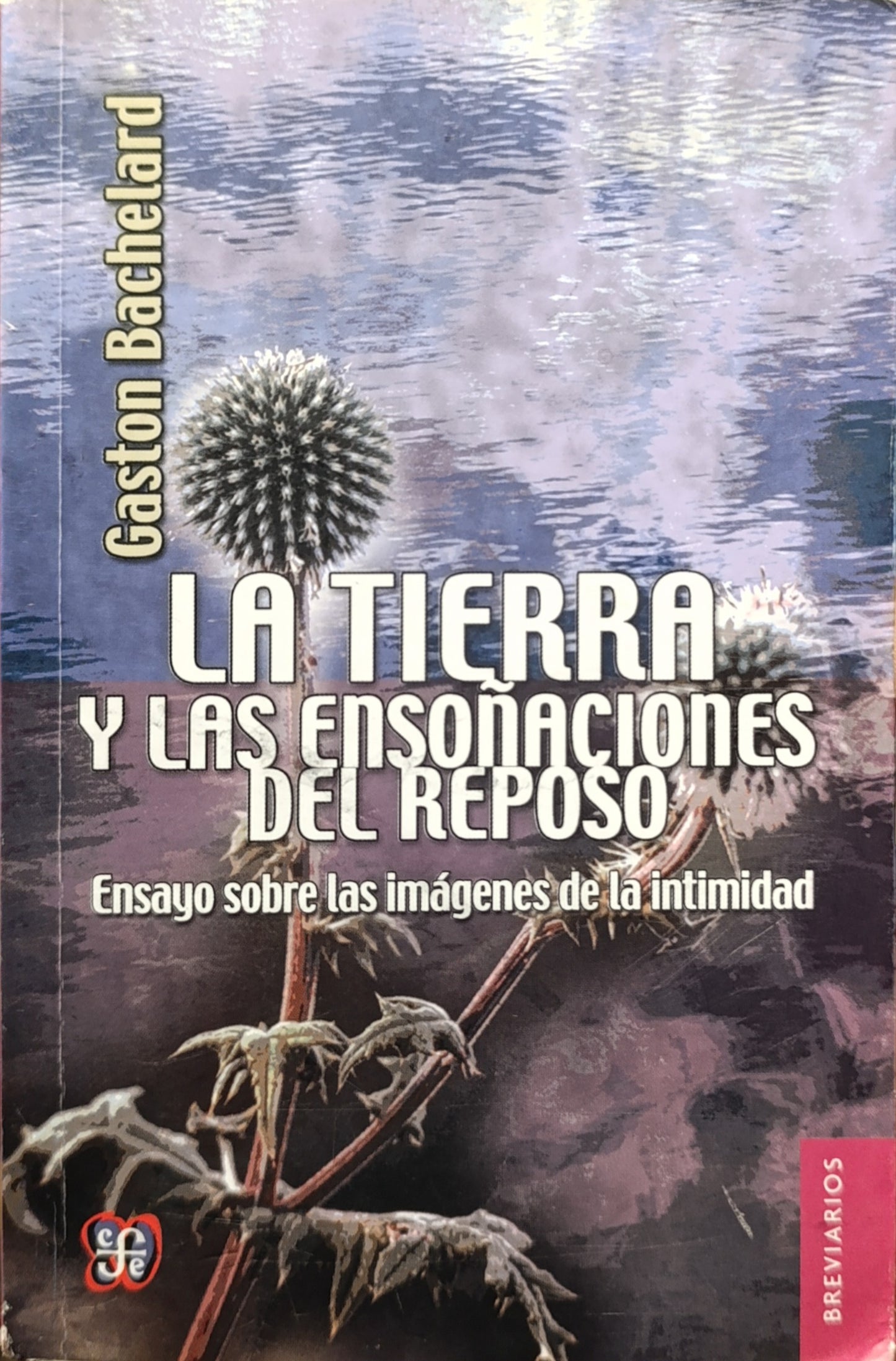 LA TIERRA Y LAS ENSOÑACIONES DEL REPOSO