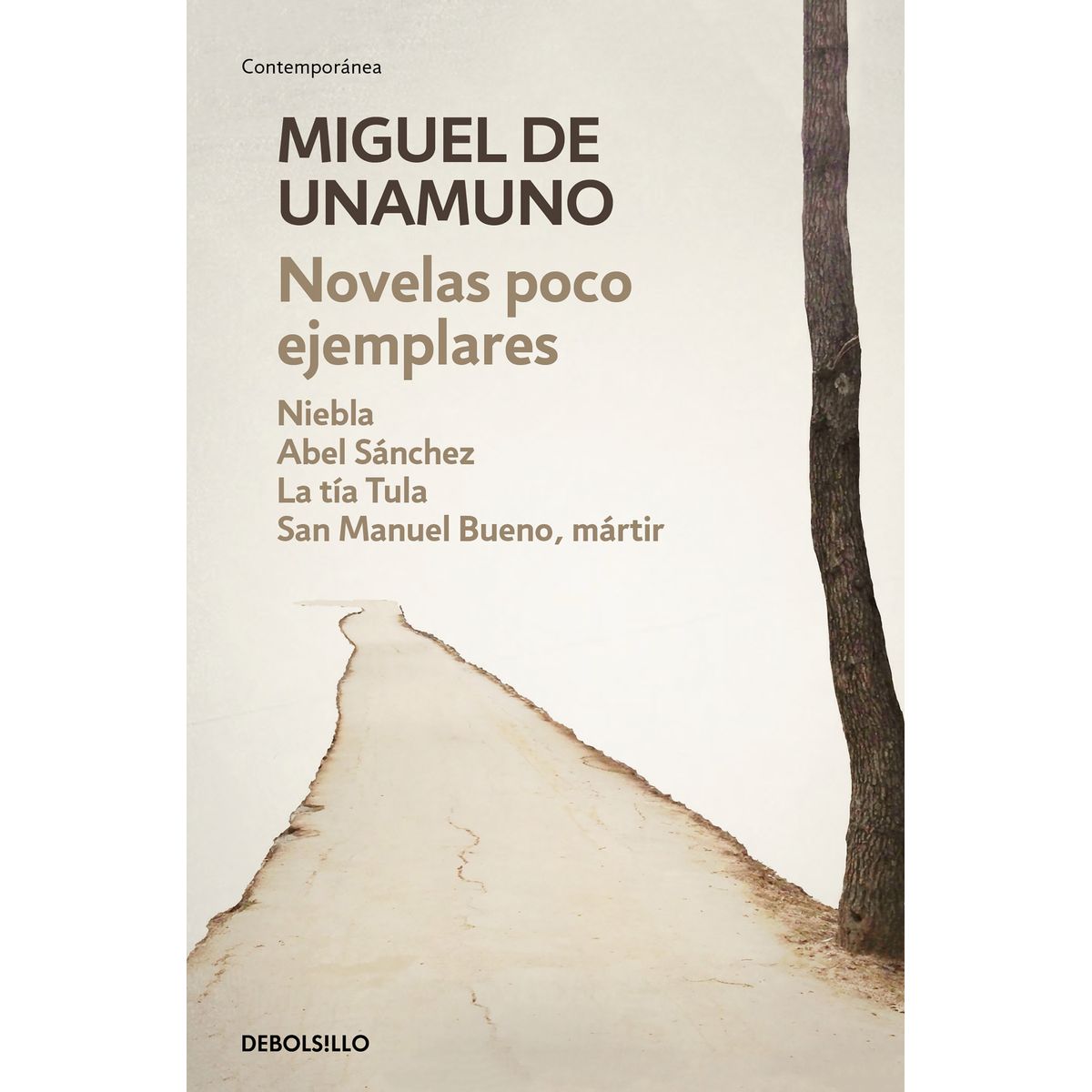 NOVELAS POCO EJEMPLARES