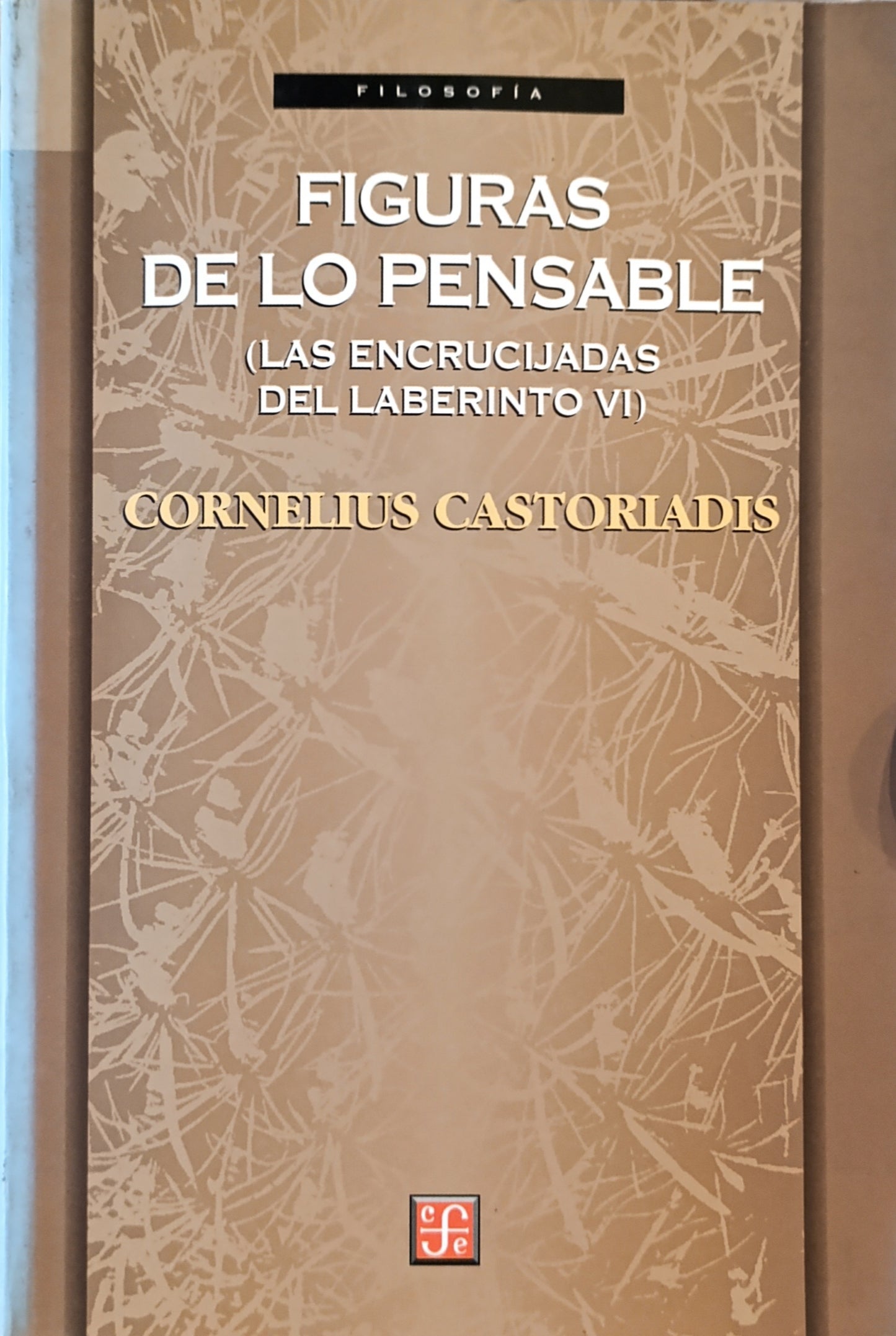FIGURAS DE LO PENSABLE