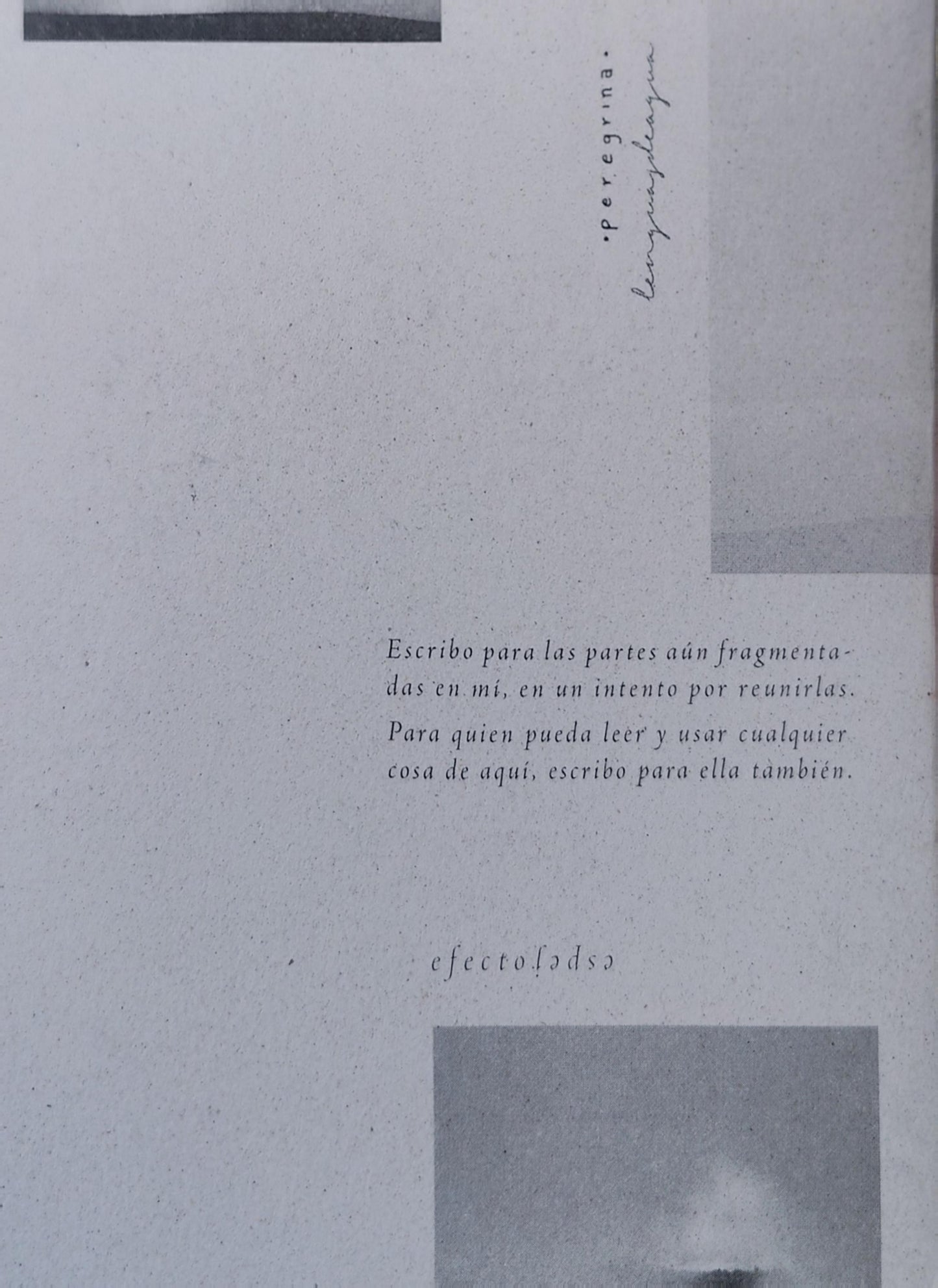 SANGRE, PAN Y POESÍA la posición de la poeta