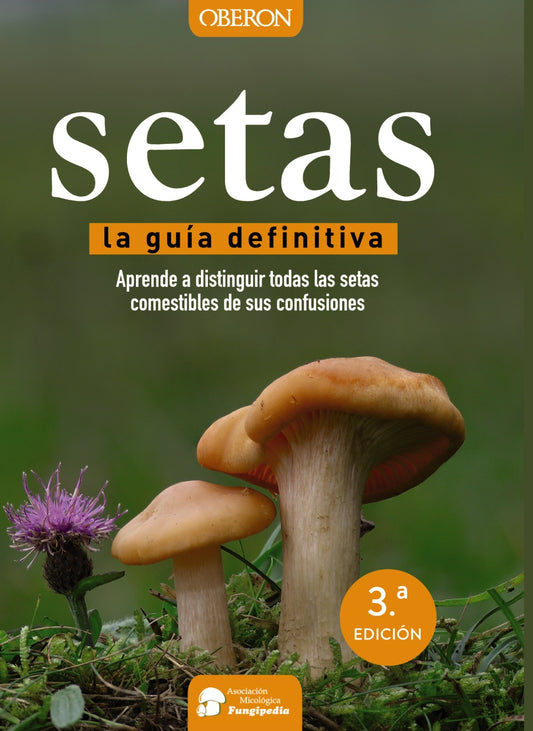 SETAS la guía definitiva. Aprende a distinguir todas las setas comestibles de sus confusiones